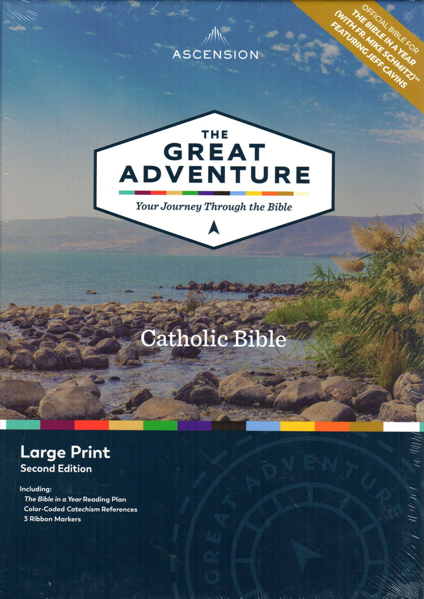 The Great Adventure Bible Your Journey through the Bible LP