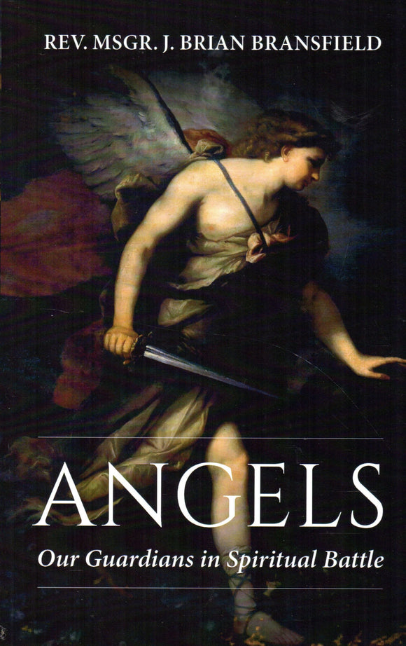 Angels: Our Guardians in Spiritual Battle