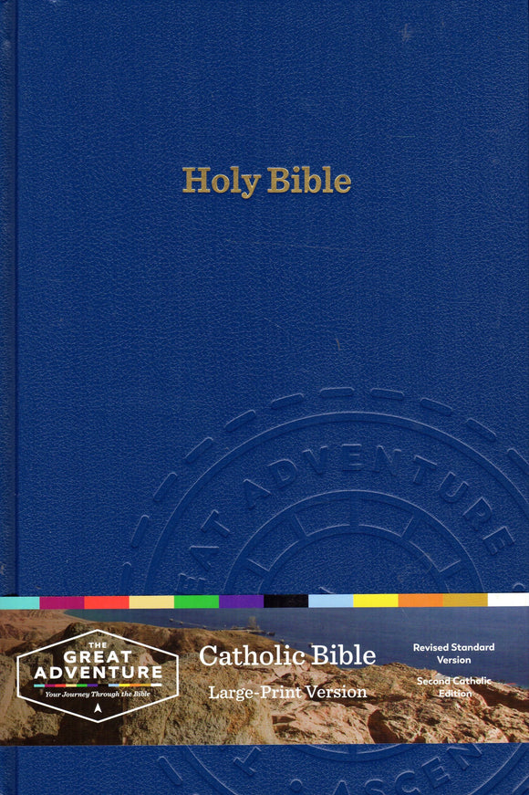 The Great Adventure Bible: Your Journey through the Bible Large Print Hardback