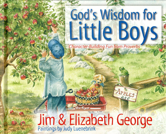 God's Wisdom for Little Boys: Character-Building Fun from Proverbs