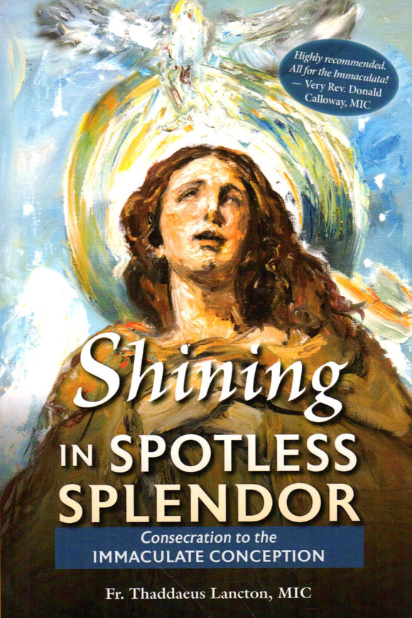 Shining in Spotless Splendour: Consecration to the Immaculate Conception