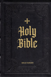 Holy Bible: Douay-Rheims - Large Print Leather (Tan)