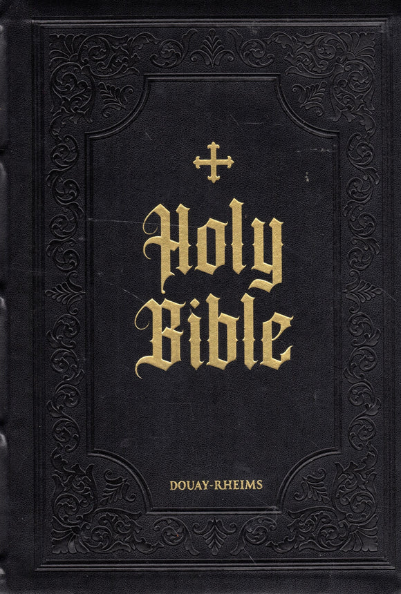 Holy Bible: Douay-Rheims - Large Print Leather (Tan)