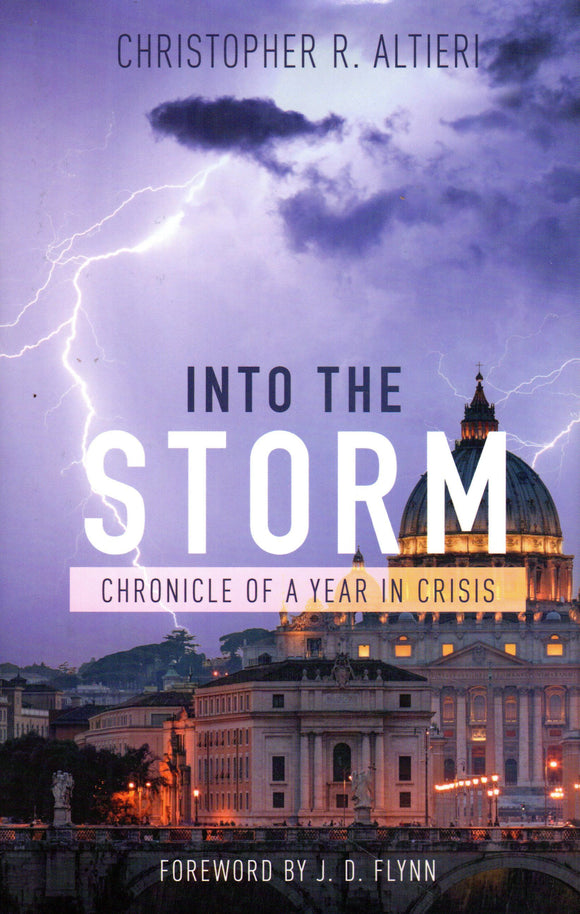 Into the Storm: Chronicle of a Year in Crisis