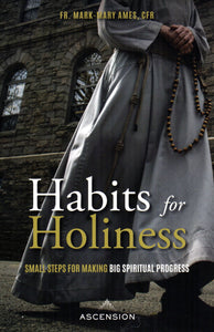 Habits for Holiness: Small Steps for Making Big Spiritual Progress