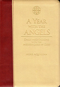 A Year with the Angels (Leather bound)