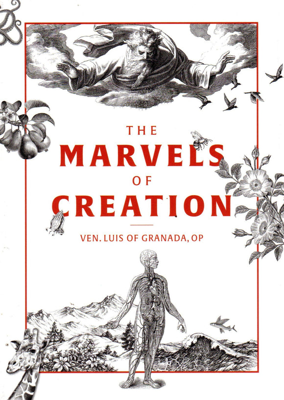 The Marvels of Creation