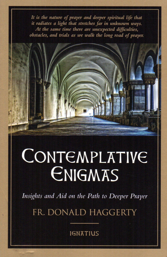 Contemplative Enigmas: Insights and Aid on the Path to Deeper Prayer