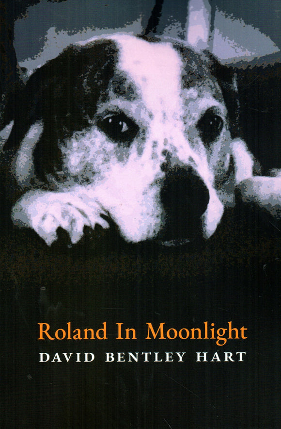 Roland in Moonlight