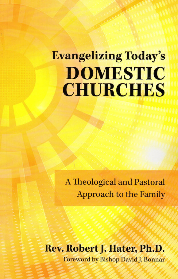 Evangelising Today's Domestic Churches: A Theological and Pastoral Approach to the Family