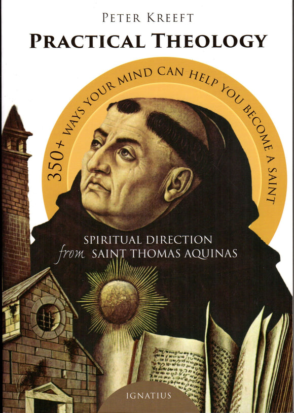 Practical Theology: 350+ Ways Your Mind Can Help You Become a Saint