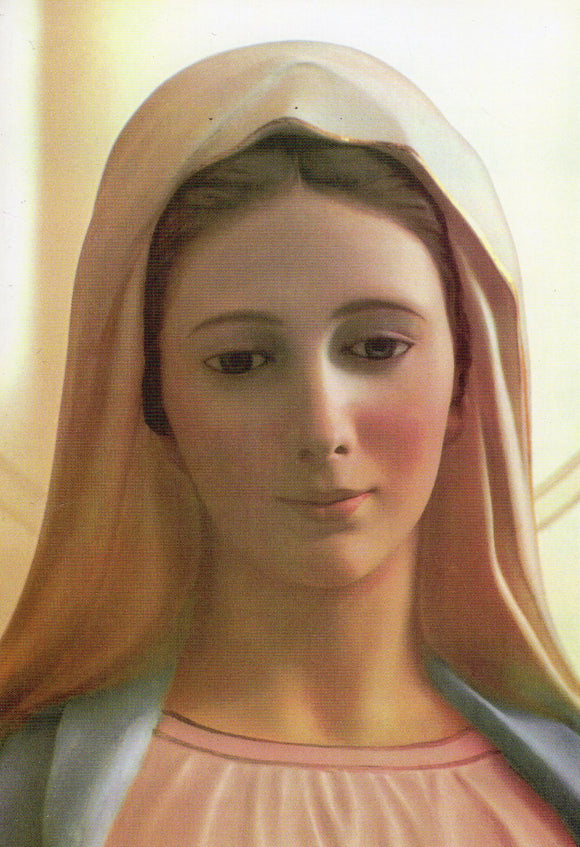 Leaflet - How to Pray the Rosary Laminated