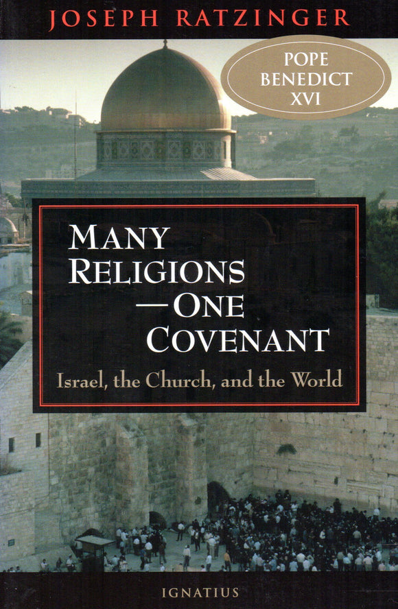 Many Religions: One Covenant: Israel, the Church, and the World