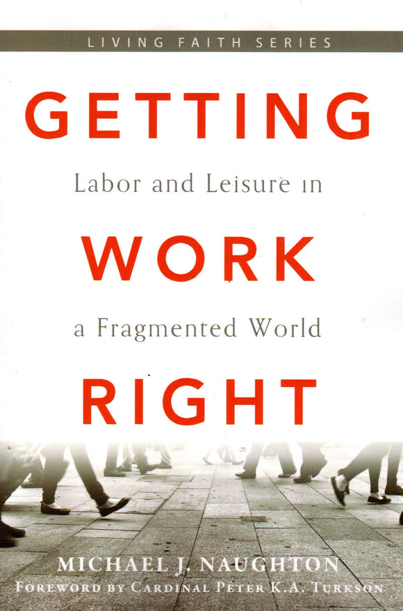 Getting Work Right: Labour and Leisure in a Fragmented World (PB)