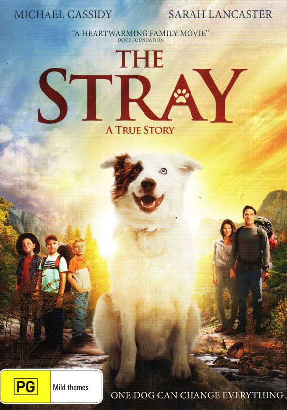 The Stray DVD