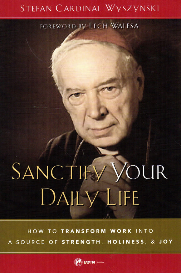 Sanctify Your Daily Life: How to Transform Work into a Source of Strength, Holiness and Joy